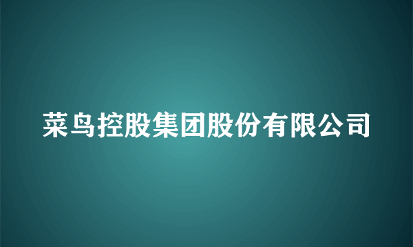 菜鸟控股集团股份有限公司