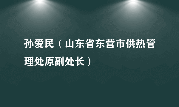 孙爱民（山东省东营市供热管理处原副处长）