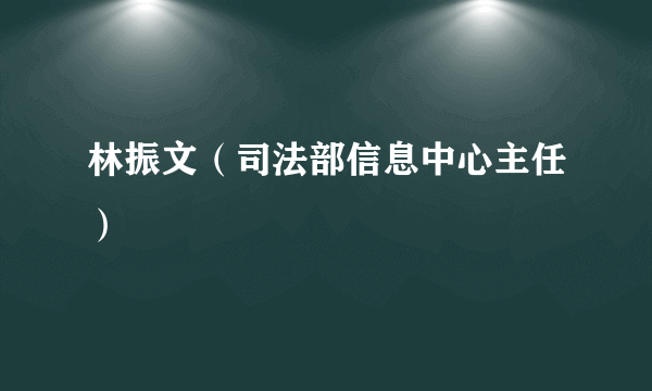 林振文（司法部信息中心主任）