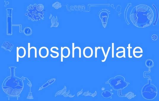 phosphorylate