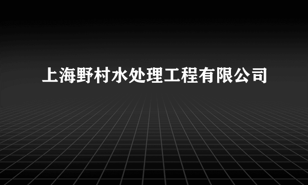 上海野村水处理工程有限公司