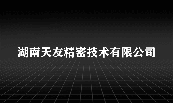 湖南天友精密技术有限公司