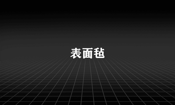 表面毡