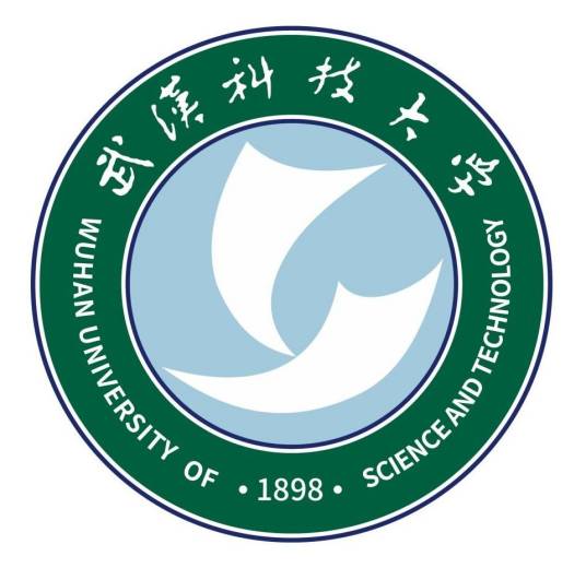 武汉科技大学