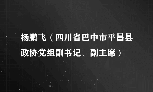 杨鹏飞（四川省巴中市平昌县政协党组副书记、副主席）