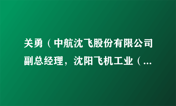 关勇（中航沈飞股份有限公司副总经理，沈阳飞机工业（集团）有限公司副总经理）