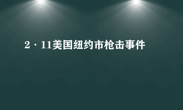 2·11美国纽约市枪击事件