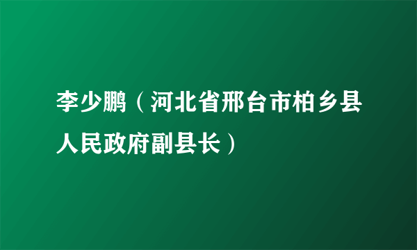 李少鹏（河北省邢台市柏乡县人民政府副县长）