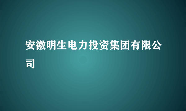 安徽明生电力投资集团有限公司