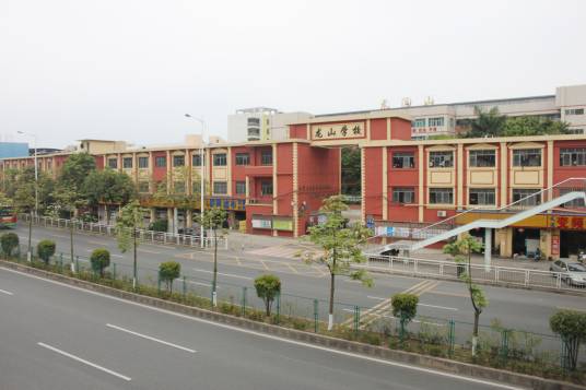 龙山学校（深圳市坪山区境内民办学校）