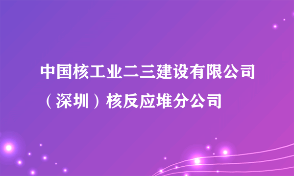 中国核工业二三建设有限公司（深圳）核反应堆分公司