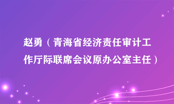 赵勇（青海省经济责任审计工作厅际联席会议原办公室主任）