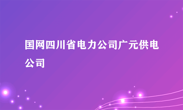 国网四川省电力公司广元供电公司