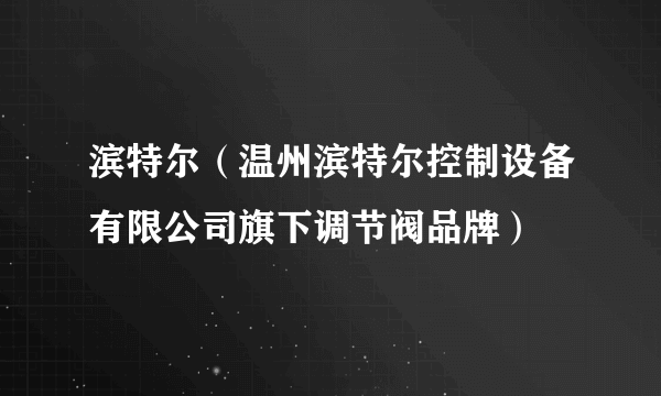 滨特尔（温州滨特尔控制设备有限公司旗下调节阀品牌）