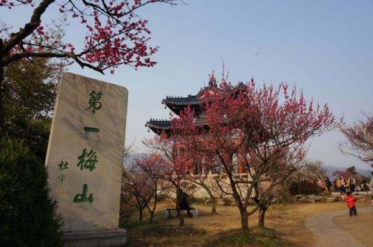 梅花山（首批国家重点花文化基地、南京明孝陵景区内景点）