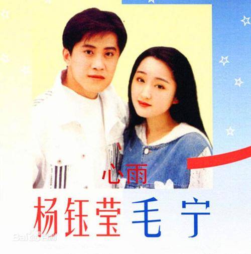 心雨（1993年杨钰莹、毛宁对唱歌曲）