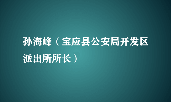 孙海峰（宝应县公安局开发区派出所所长）