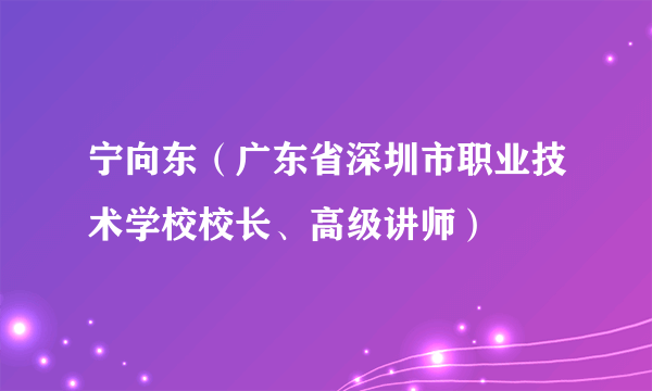 宁向东（广东省深圳市职业技术学校校长、高级讲师）