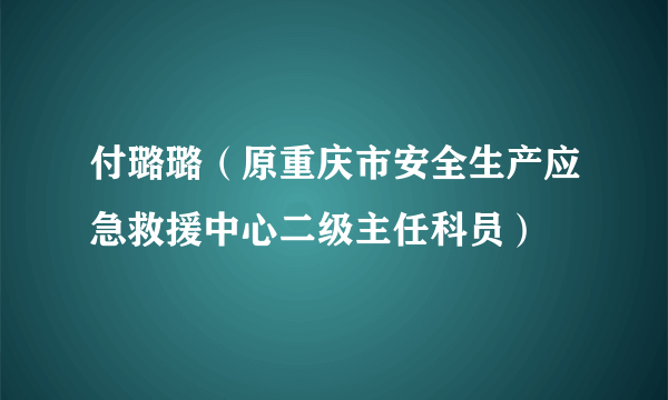 付璐璐（原重庆市安全生产应急救援中心二级主任科员）