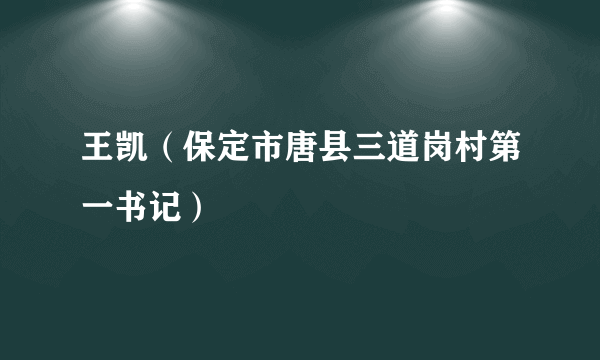 王凯（保定市唐县三道岗村第一书记）