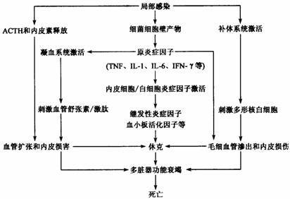 代谢能量