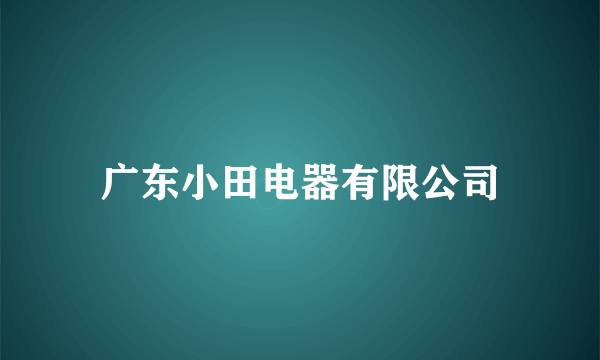 广东小田电器有限公司