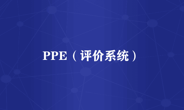 PPE（评价系统）