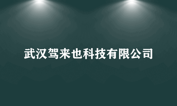 武汉驾来也科技有限公司