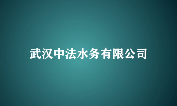 武汉中法水务有限公司