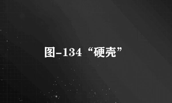 图-134“硬壳”