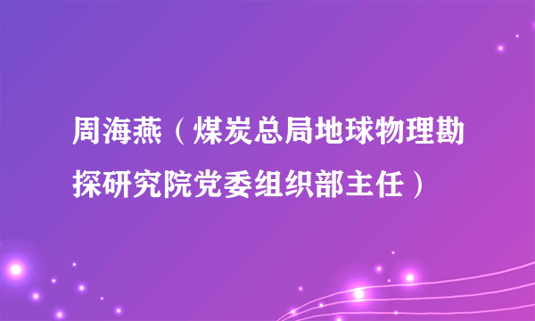 周海燕（煤炭总局地球物理勘探研究院党委组织部主任）