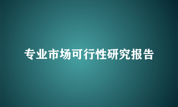 专业市场可行性研究报告