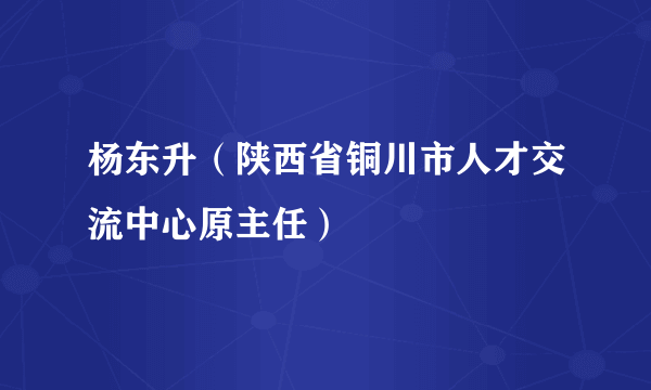 杨东升（陕西省铜川市人才交流中心原主任）