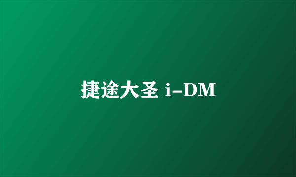 捷途大圣 i-DM