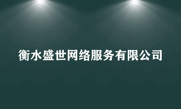 衡水盛世网络服务有限公司