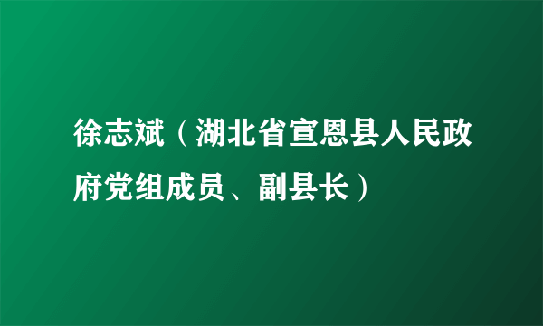 徐志斌（湖北省宣恩县人民政府党组成员、副县长）