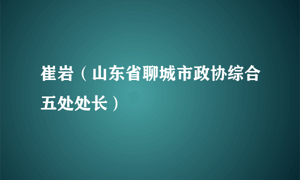 崔岩（山东省聊城市政协综合五处处长）