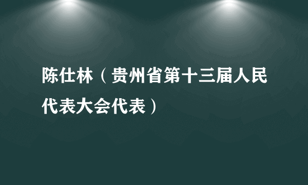 陈仕林（贵州省第十三届人民代表大会代表）