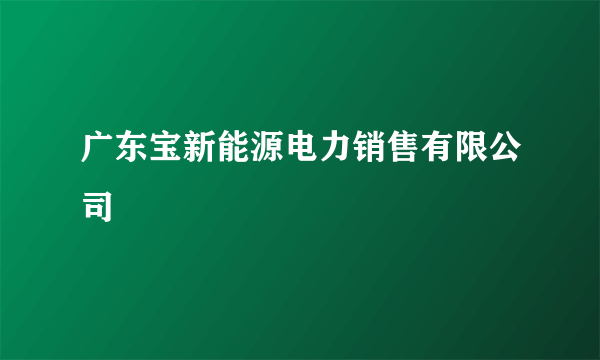 广东宝新能源电力销售有限公司