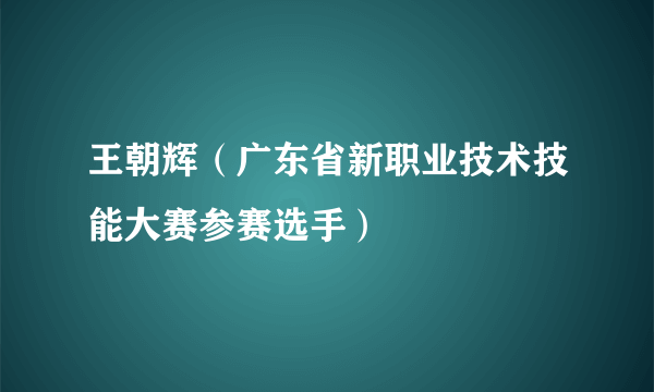 王朝辉（广东省新职业技术技能大赛参赛选手）