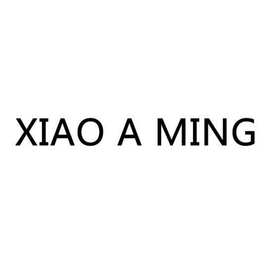 XIAO A MING