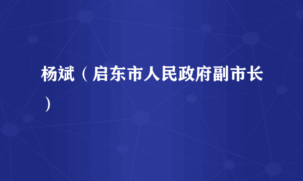 杨斌（启东市人民政府副市长）