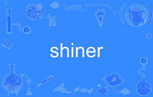 shiner（英语单词）