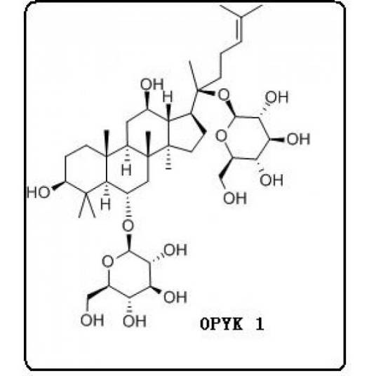 人参皂苷Rg1