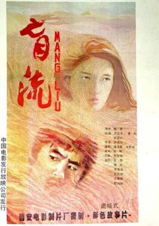 盲流（1987年许还山执导电影）