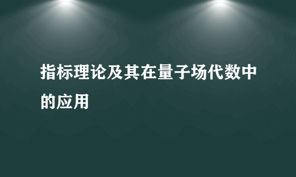 指标理论及其在量子场代数中的应用