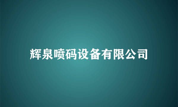 辉泉喷码设备有限公司