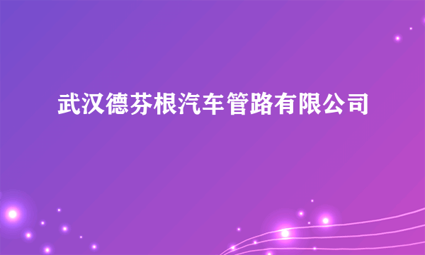 武汉德芬根汽车管路有限公司