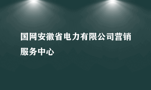 国网安徽省电力有限公司营销服务中心