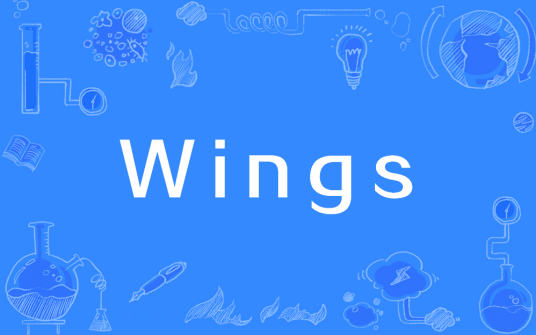 Wings（Web框架）